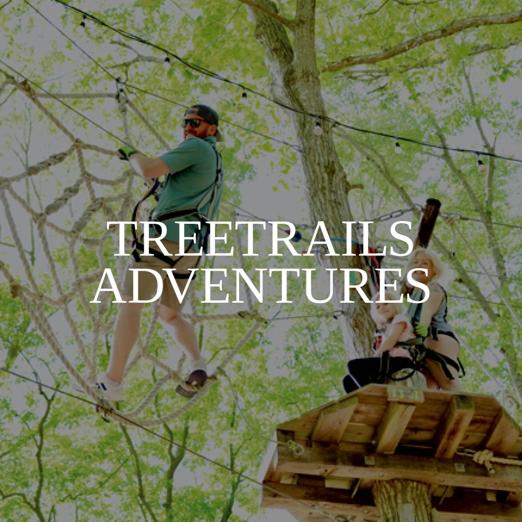 TreeTrails Adventures